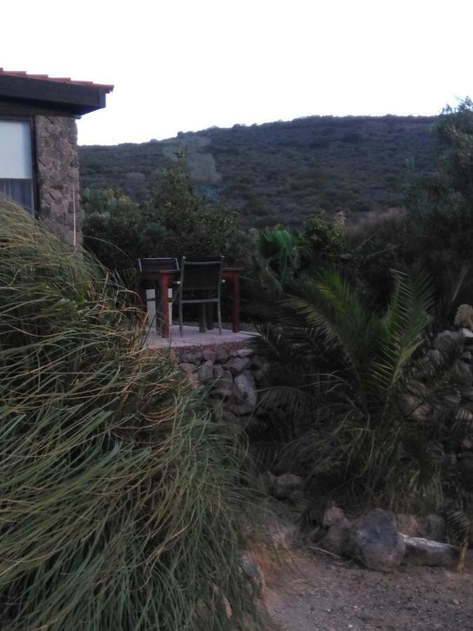 Casa Vista Bandama Vivienda Vacacional Tafira Kültér fotó